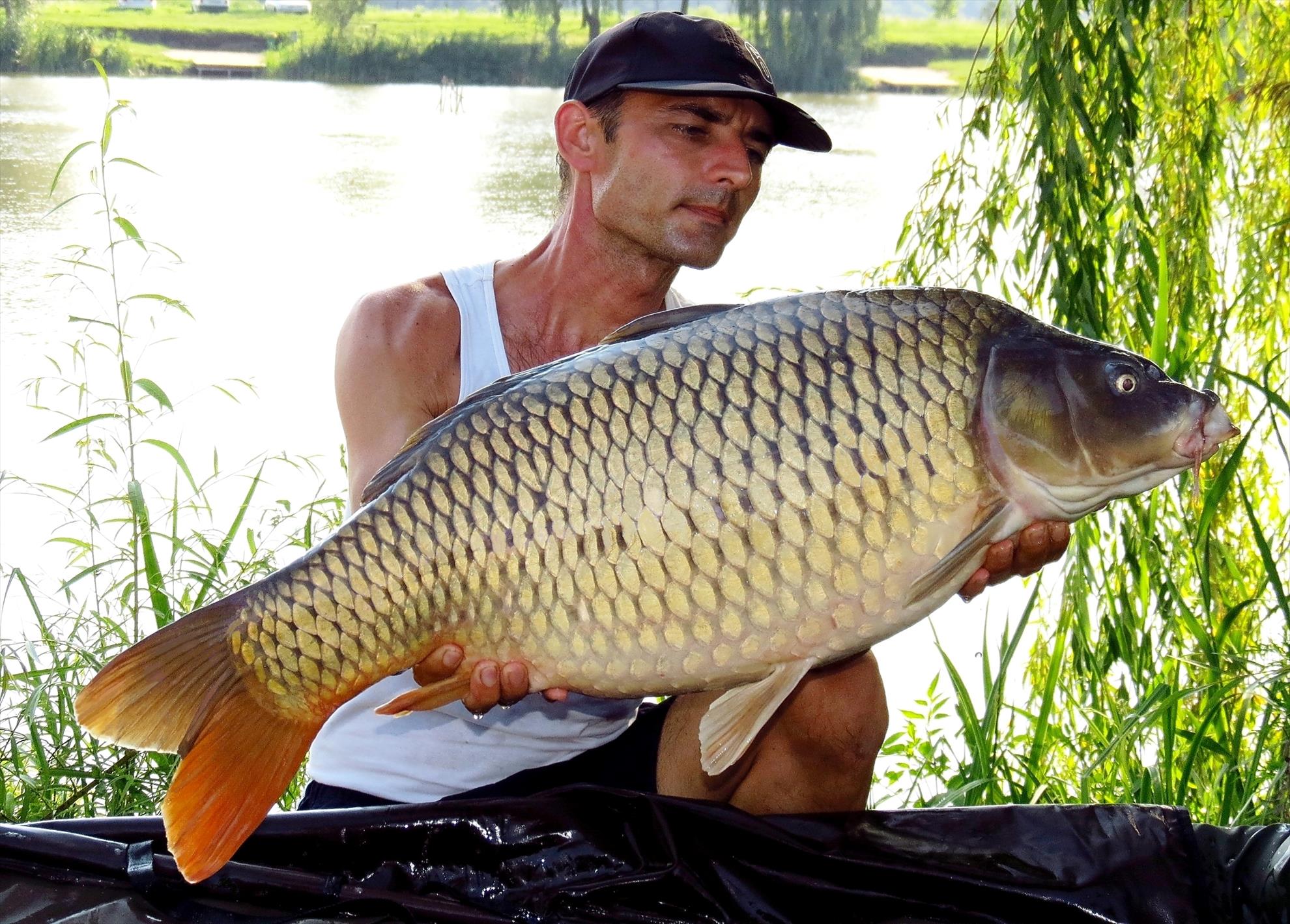 Palici - img5987---1203-kg.jpg